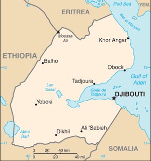 djibouti's and East Africa's top car importer exporter